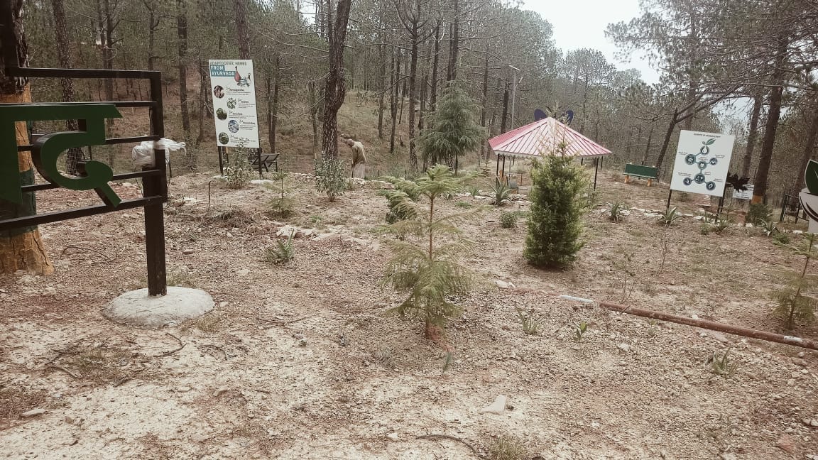 nature park in bkgpasog inahyat saranha