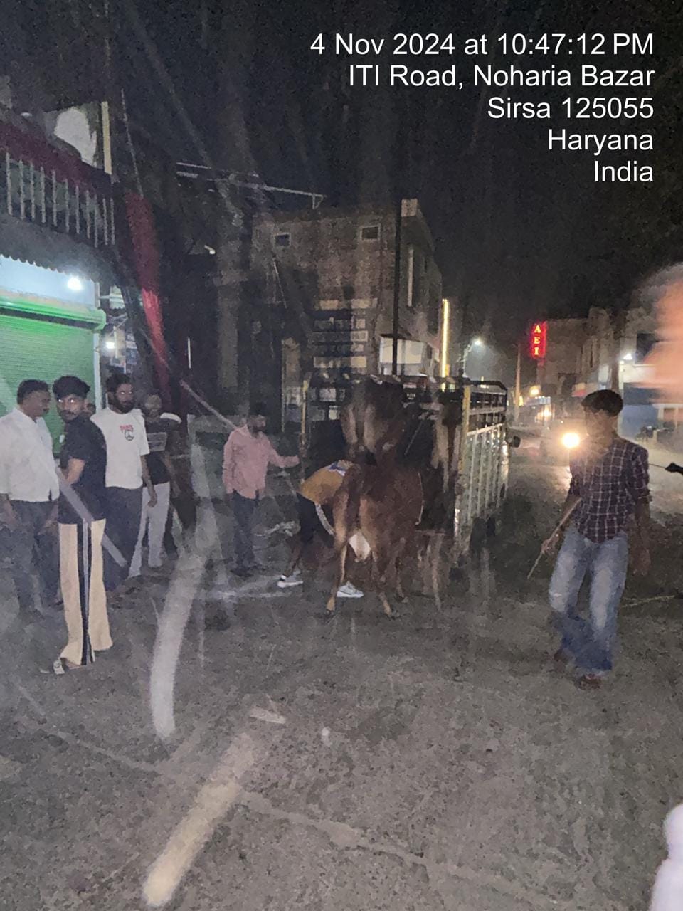 In the presence of police, the parents attacked the city council team and rescued the animals.