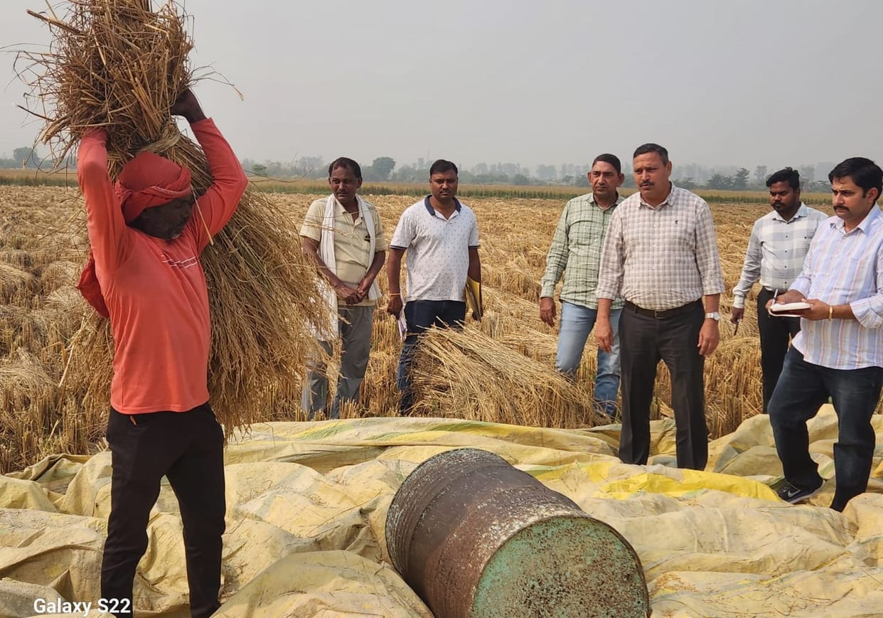 Joint director of the department reached the village to conduct crop harvesting experiment