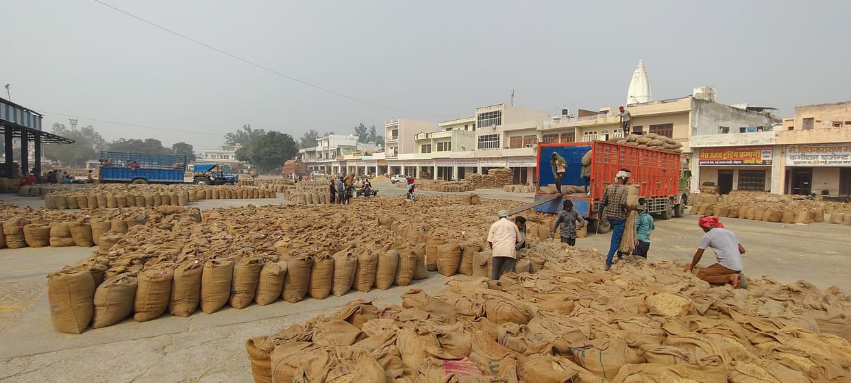 70 thousand bags were lifted after stopping purchase in the new grain market