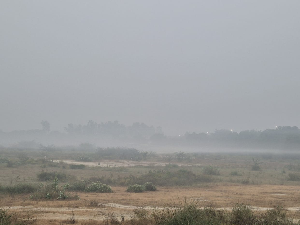 NGT's orders defied, garbage being burnt openly