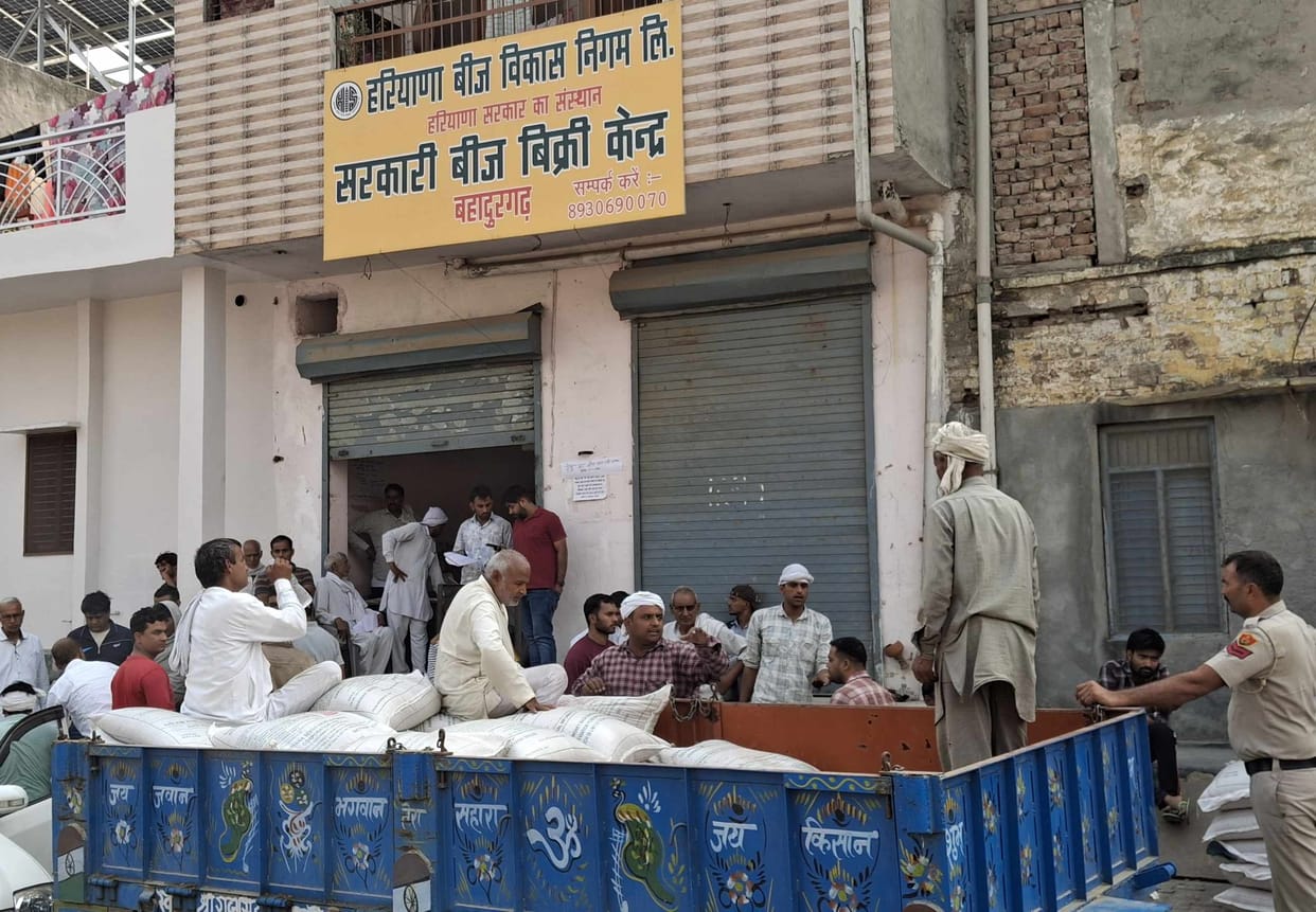 Wheat sowing to be done by 20th November, farmers are worried for seeds
