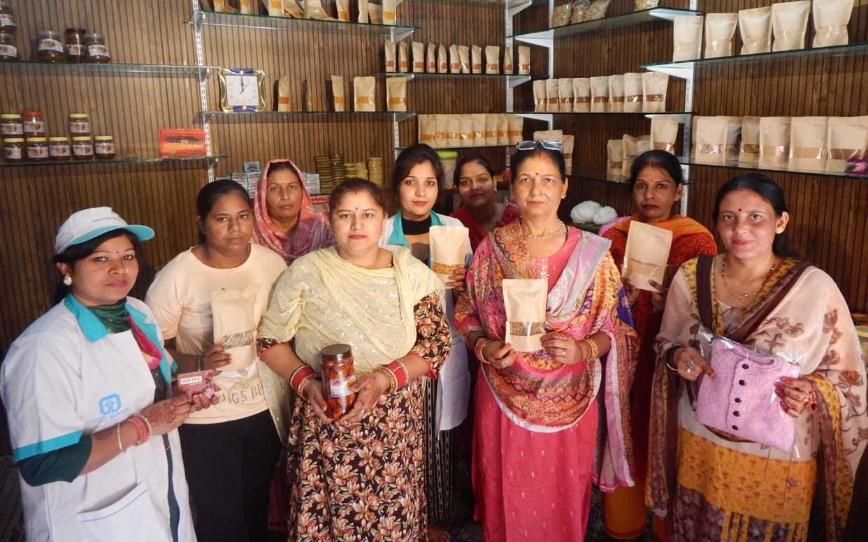 Rural women's economy is getting strengthened due to Him Era