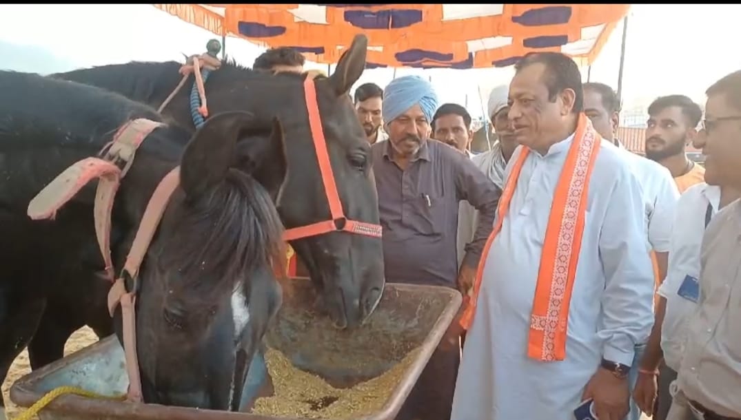 Ajmer: Animal Husbandry Minister Zoraram Kumawat arrived to inspect the Pushkar fair