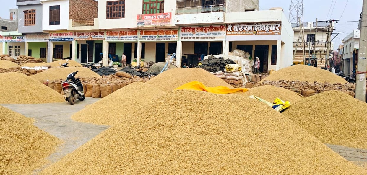 1121 Both arrival and price of paddy are low.