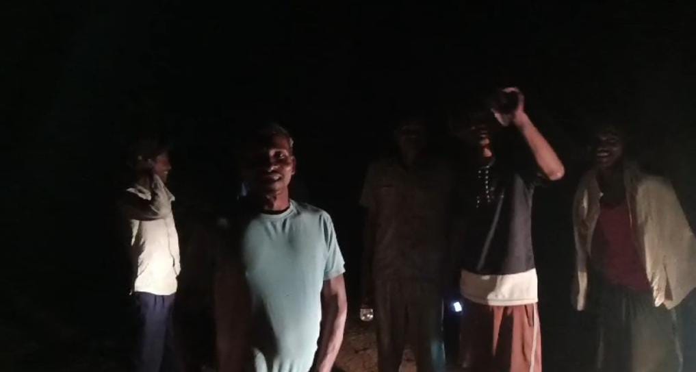 A herd of elephants reached Banasi village, panic among the people, forest department team is monitoring
