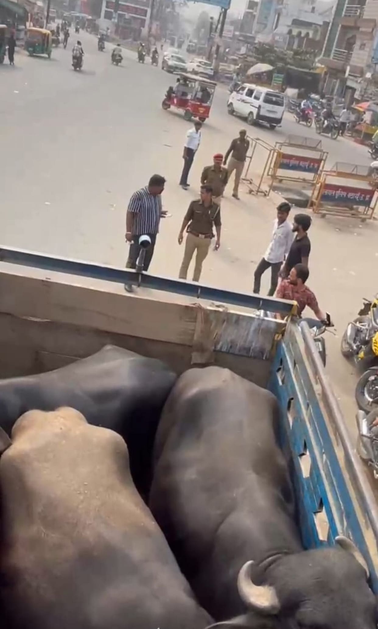 DCM full of animals caught, report on driver and conductor