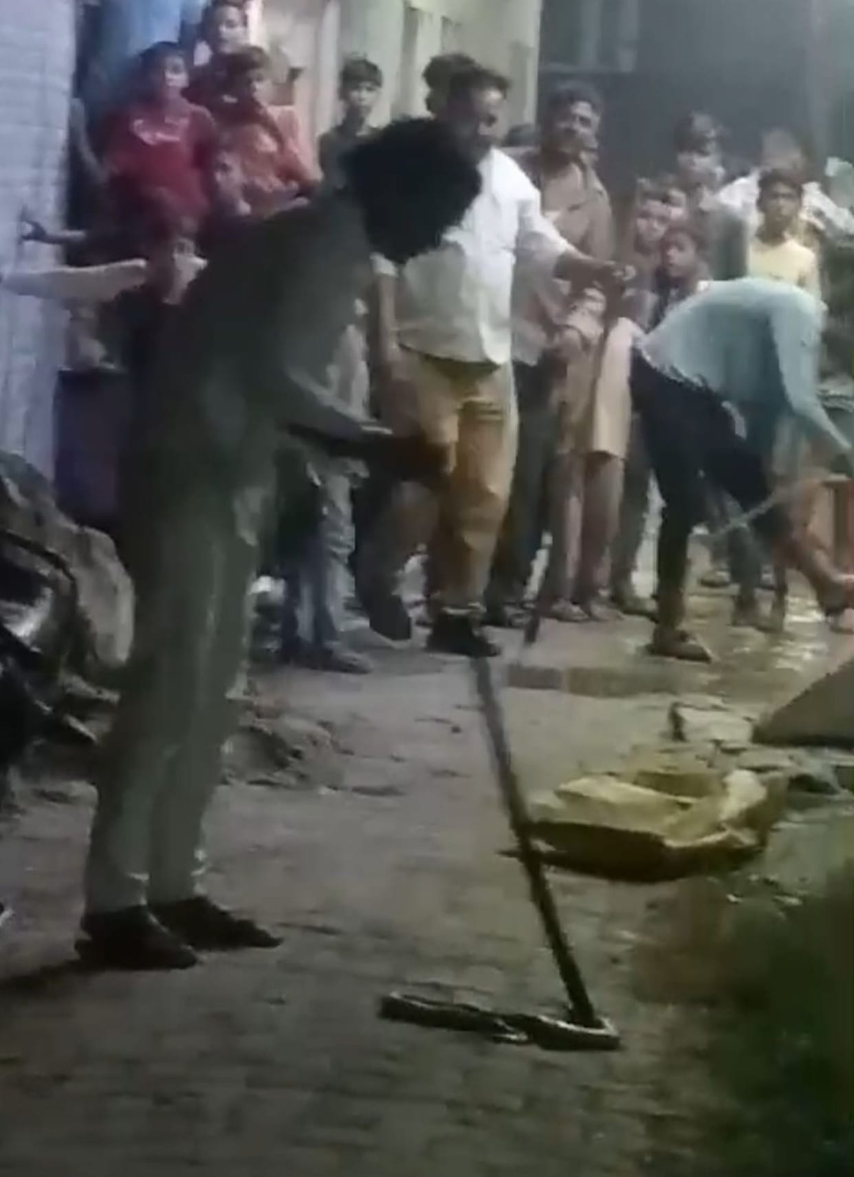 Attempt to kill snake by crushing it with a stick, video goes viral