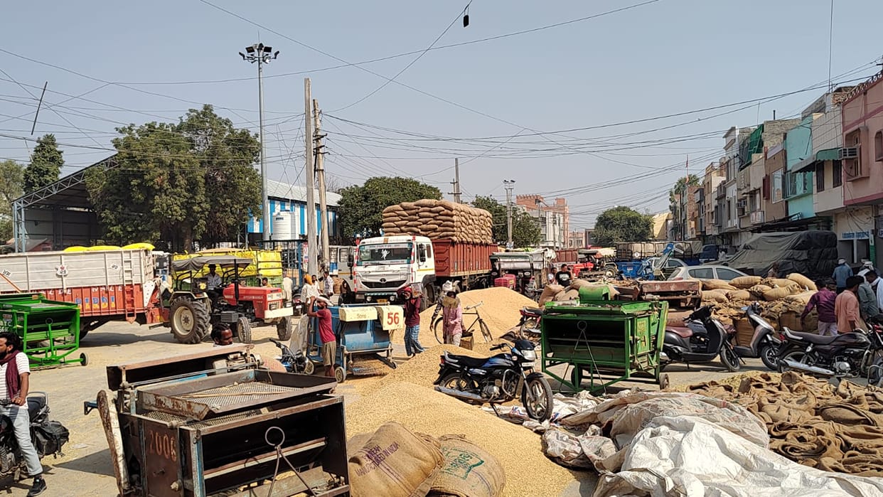 Bid for paddy will remain closed for three days in Sirsa market