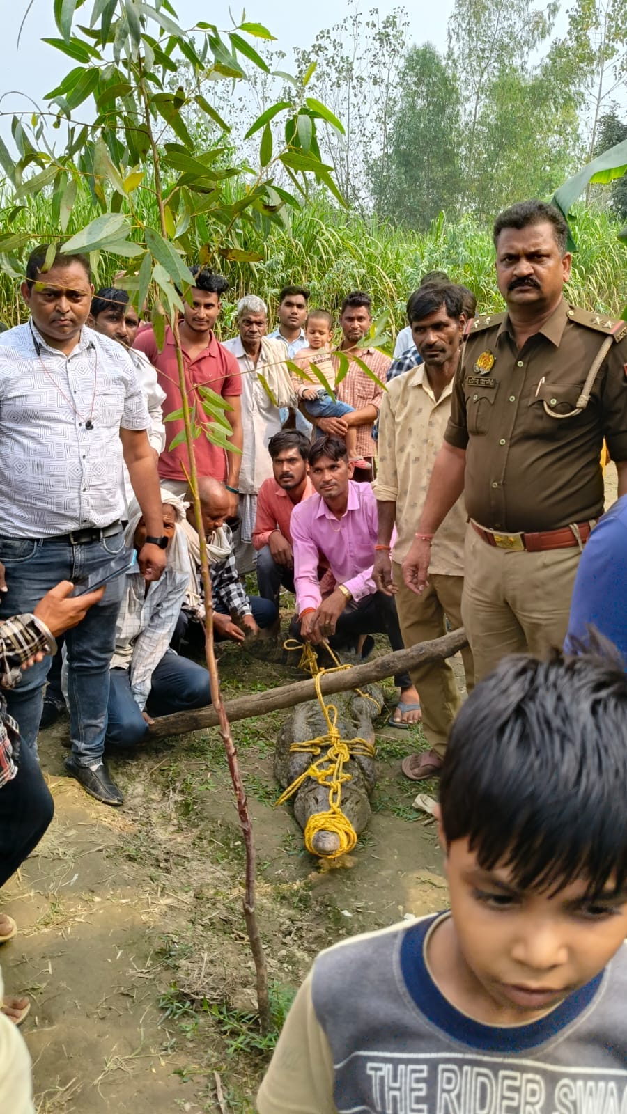 Crocodile caught with the help of students, forest department team released it in Kailash river