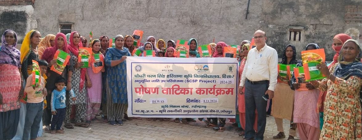 Gave training to 50 women in village Dewas