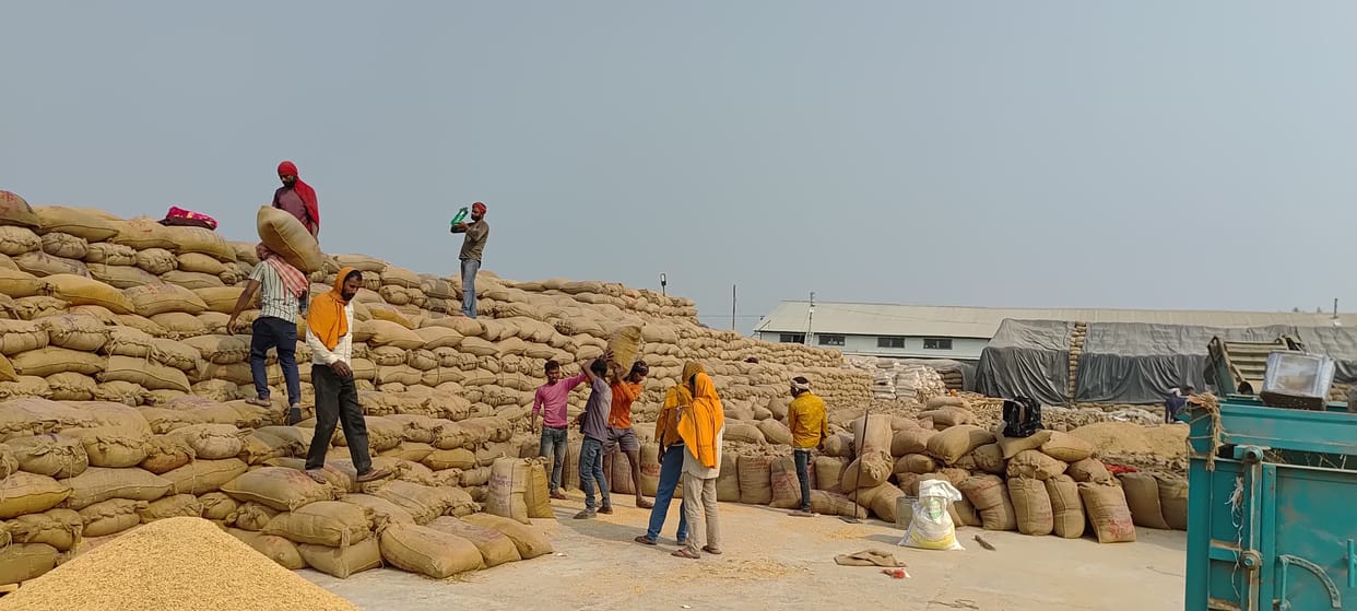 Have to wait to sell paddy in the markets