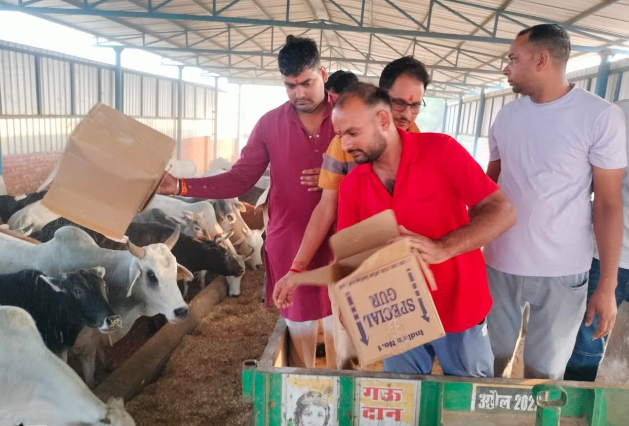 Gopashtami festival is celebrated with cow worship