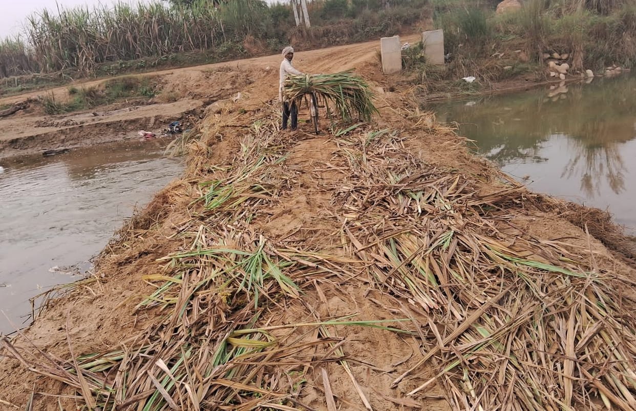 Farmers prepared a bridge on Malan river by donating donations and labour.