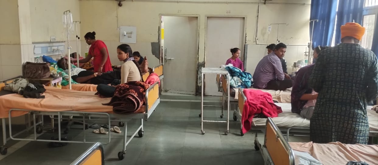12 more dengue cases, figure reaches 115
