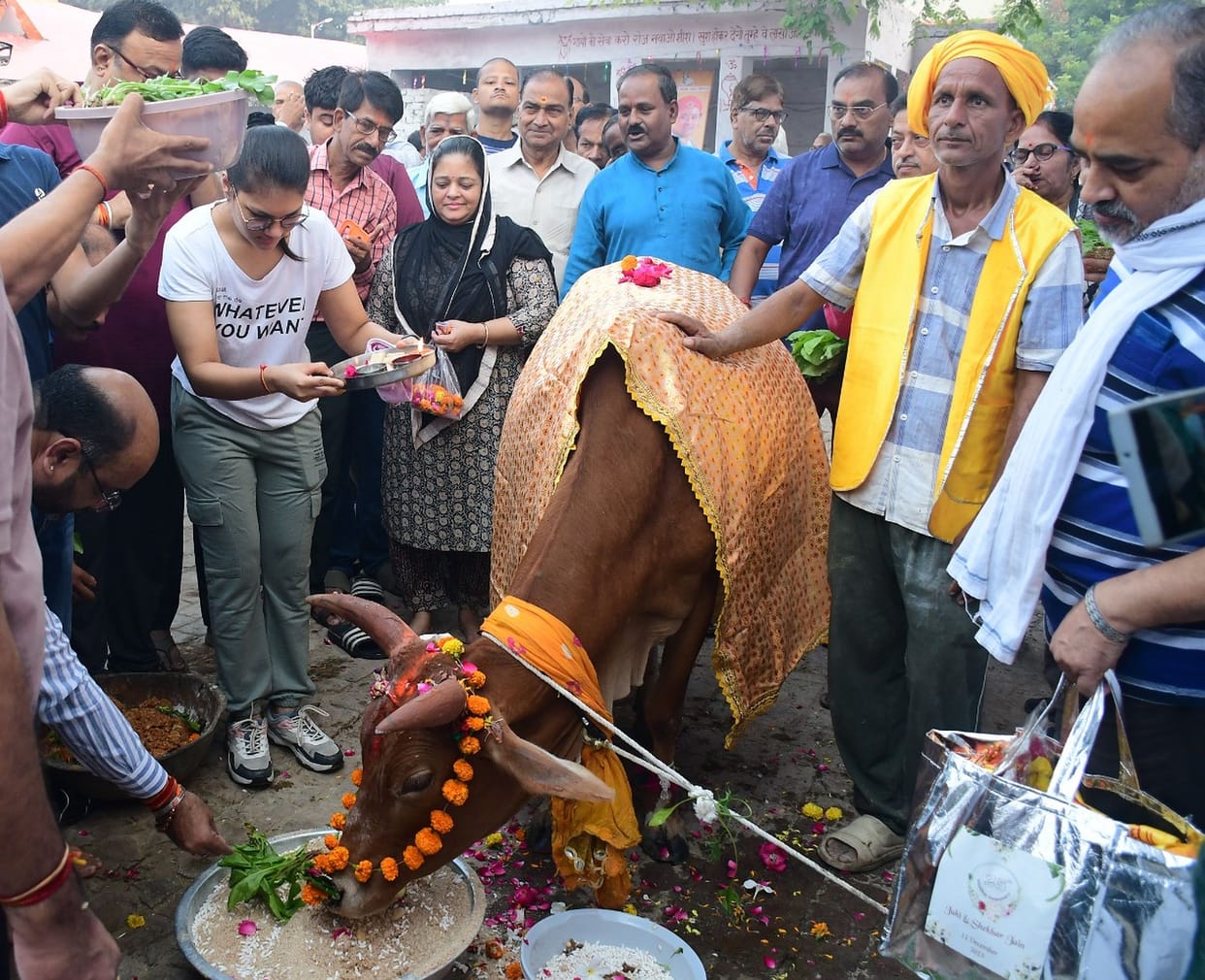 Performed Aarti by worshiping cow