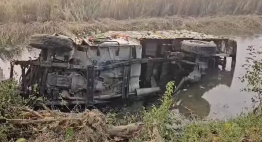 Two cattle died, two riders injured after pickup overturned