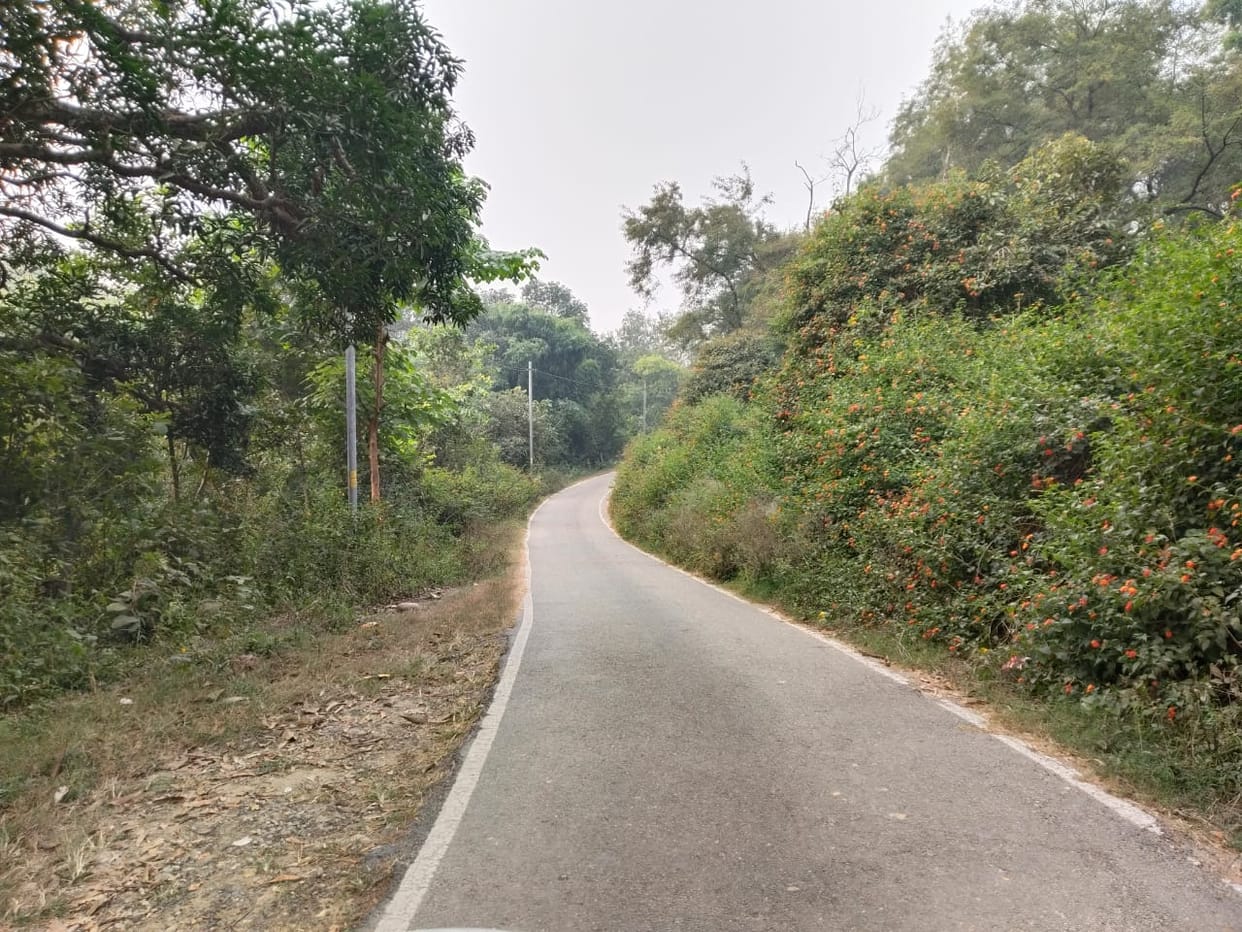 Trouble due to lack of street lights on the road leading to Nadaun police station