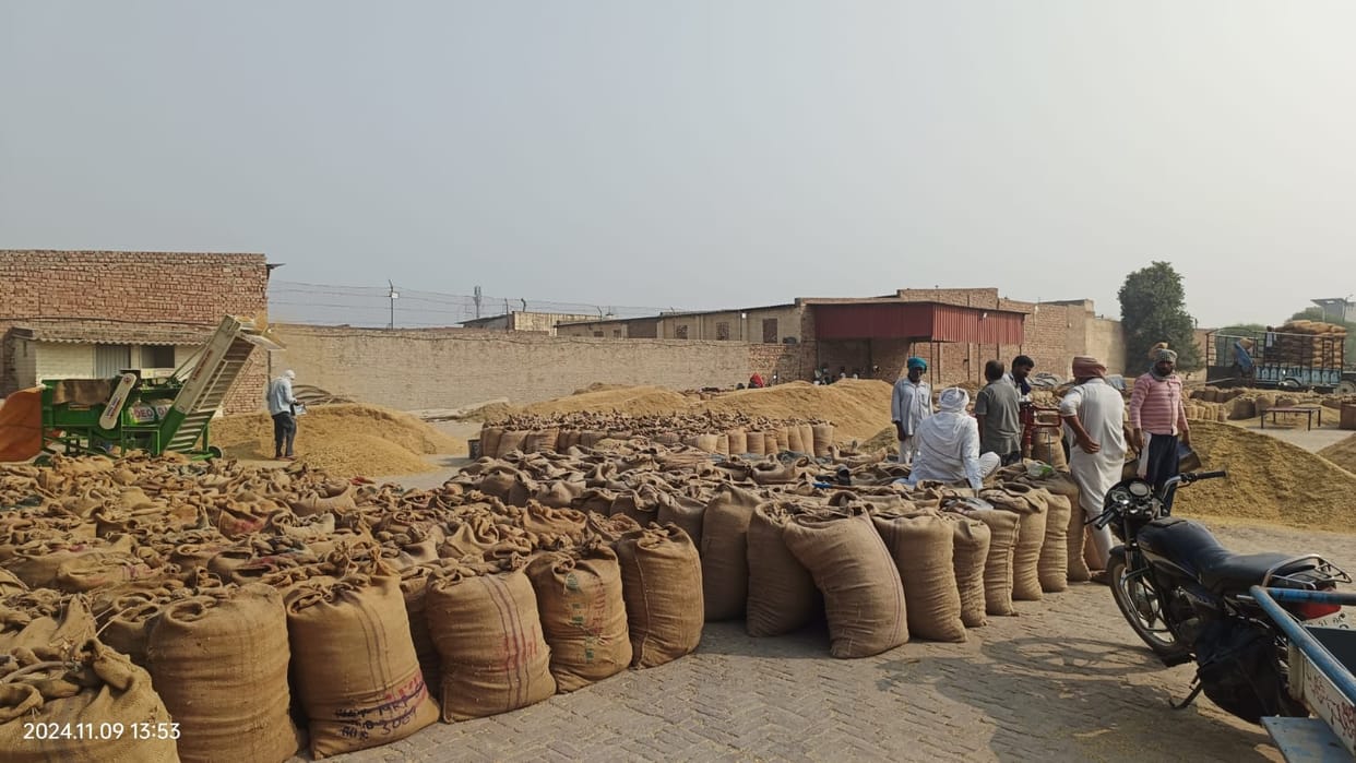 Irregularities in paddy procurement, bidding stopped in the market, shellers buying at throwaway prices from private centers