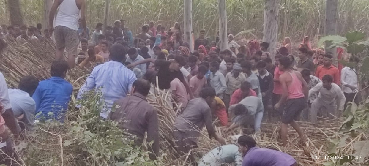 Tractor-trolley loaded with sugarcane overturns, two dead, four injured
