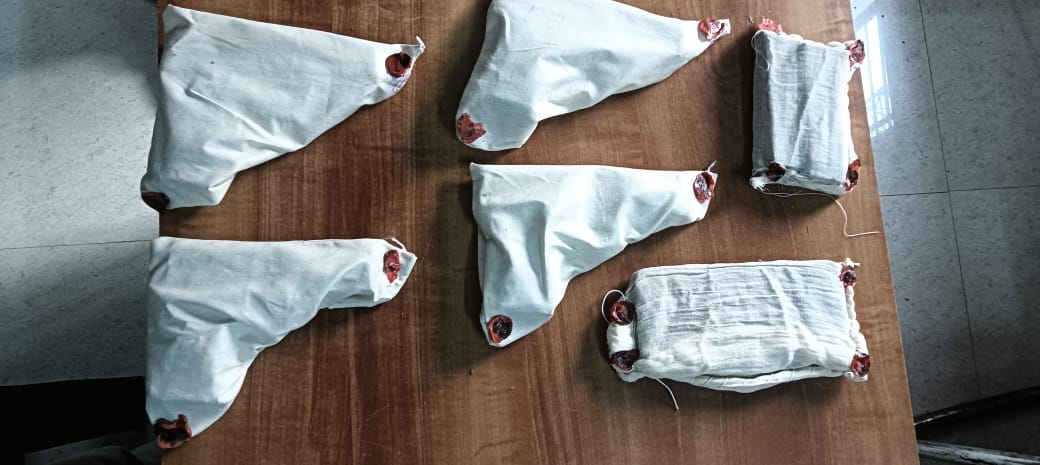 burhanpur news Inter-state female arms smuggler arrested, 4 illegal pistols seized