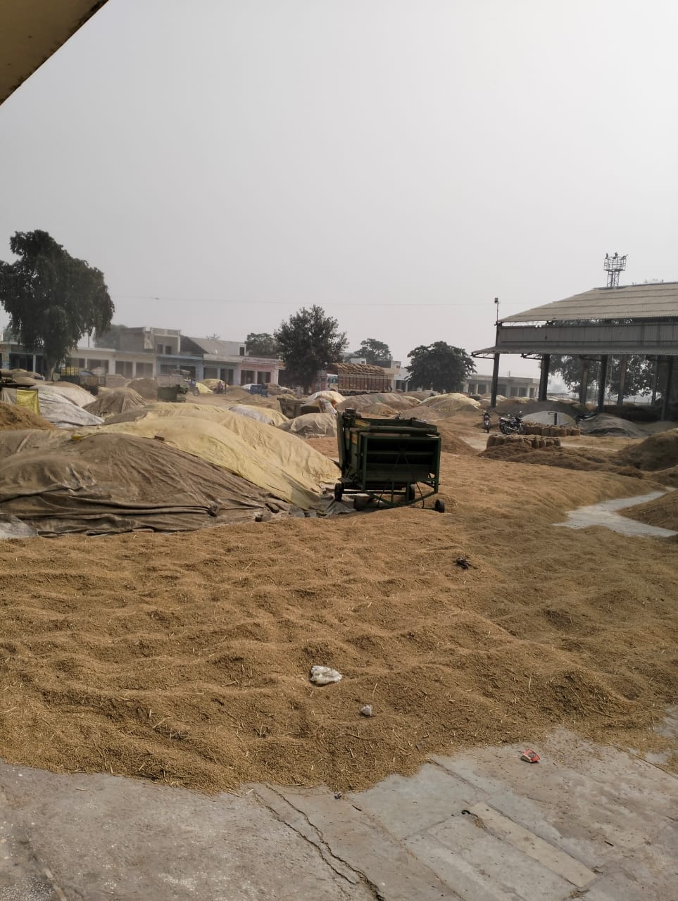 Prices of fine paddy are getting low