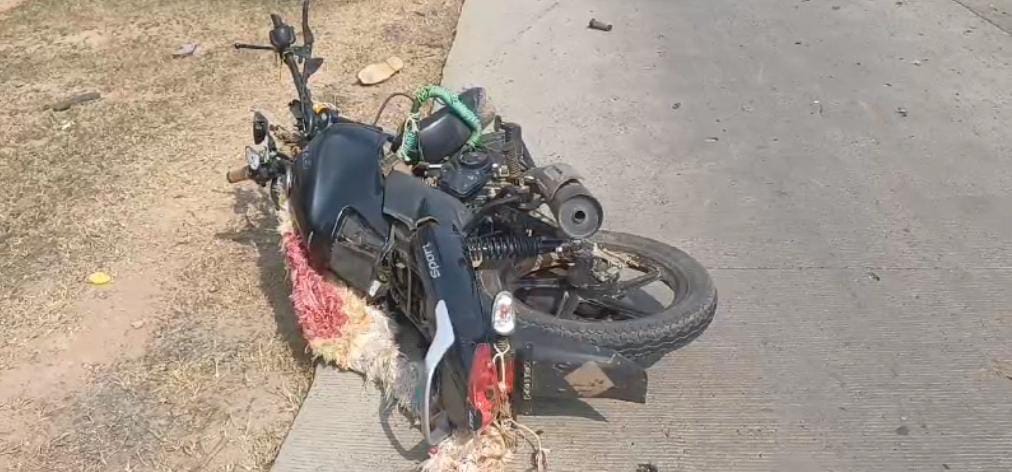Shahdol News Bike rider dies in road accident police reached spot and is investigating