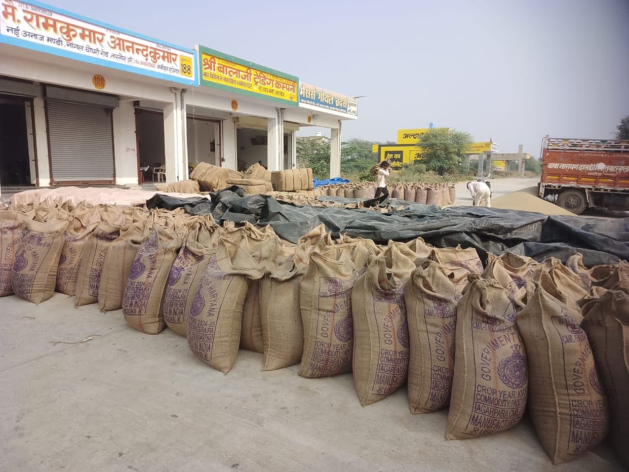 Lifting of 2101.5 quintals of millet in Narnaul and 505.5 quintals in Nangal Choudhary.