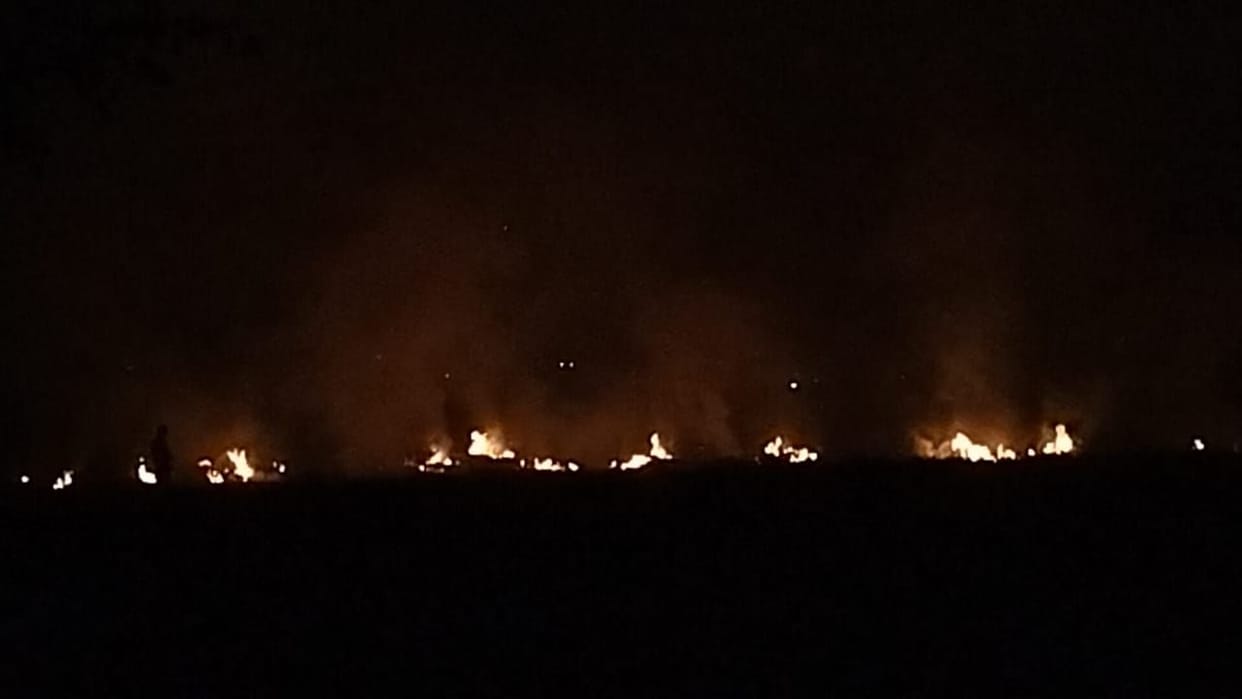 Burning of paddy remains at night to avoid satellite detection