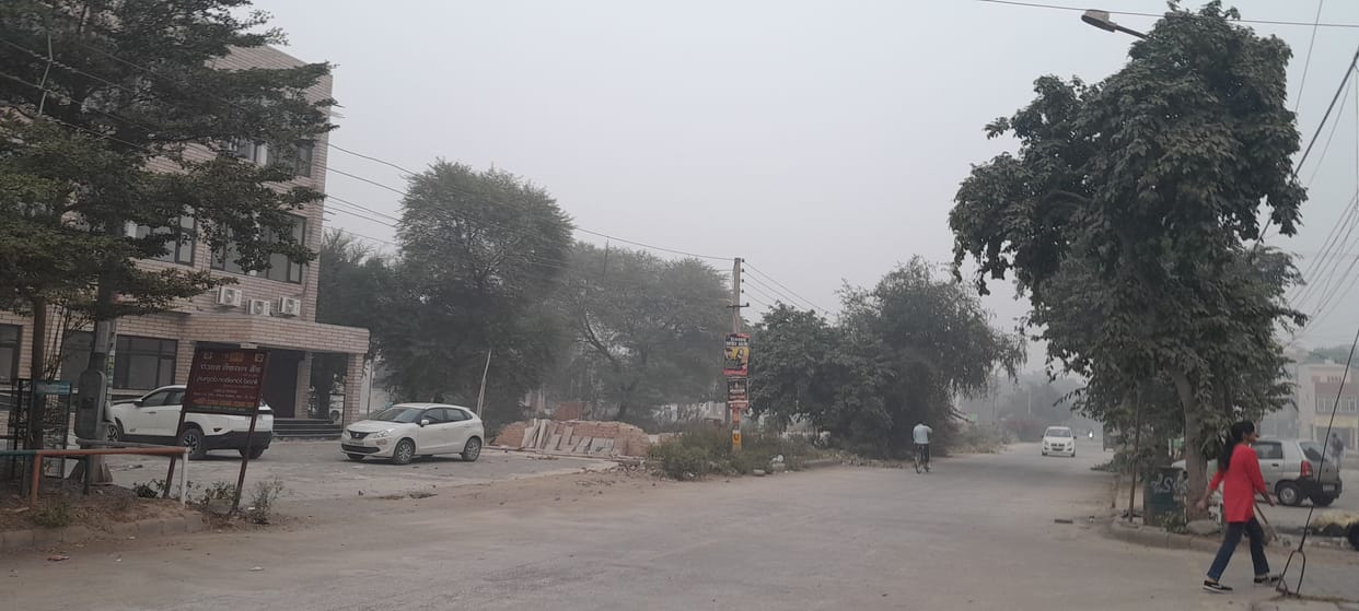 Fog due to change in weather, forecast of rain