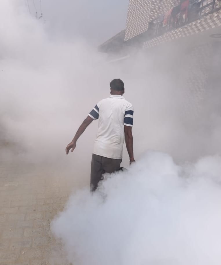 12 dengue patients found in 77 samples tested, figure reaches 295
