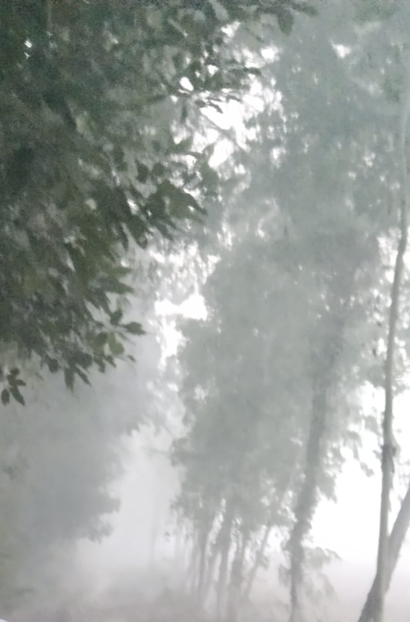 Air pollution increased with the onset of winter, AQI at 200