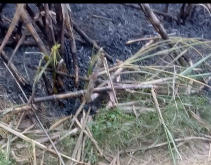 Crops of many farmers got burnt due to breakage of HT line wire.