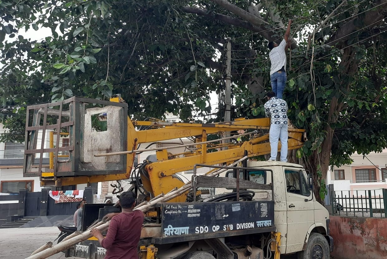 Electricity supply disrupted for six hours in the city due to pruning of trees