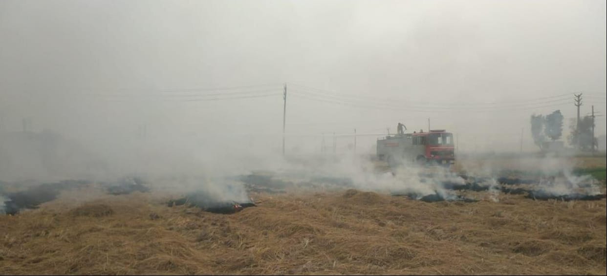 Cases of burning of crop residue are not stopping in the district, fire found at two more places