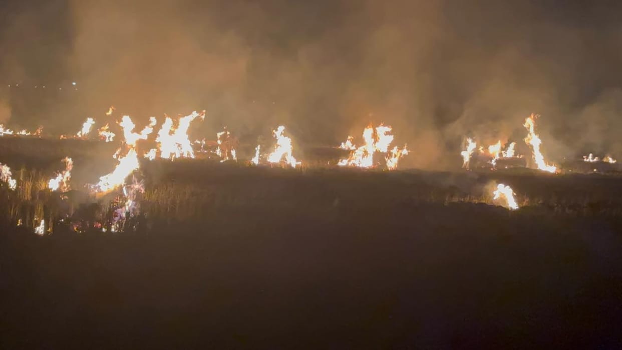 Air Pollution from Fires causing deaths around the world India most affected country Lancet study news and upd