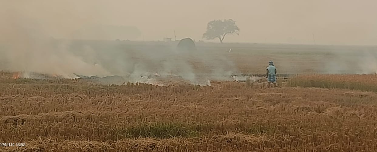Even after the ban, farmers are burning stubble indiscriminately.