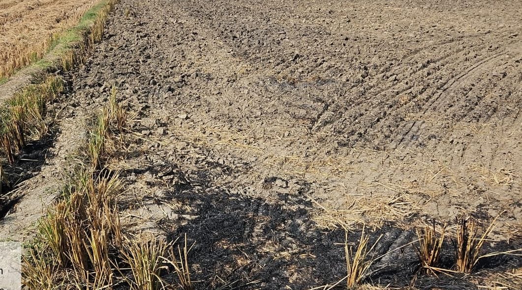 Eight farmers arrested for burning paddy remains, case registered against seven