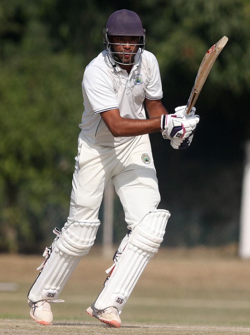 Jhajjar's Lal's wonder in Colonel CK Naidu Trophy match