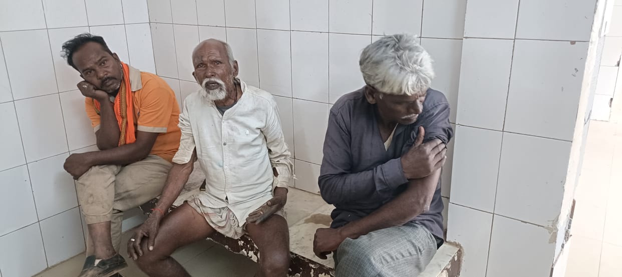 damoh pretending to be a forest worker Unknown thieves stole 14 goats, The shepherd was also attacked