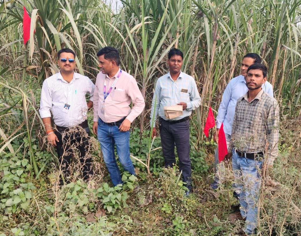 Red flag put up in defaulters' fields, auction to be held