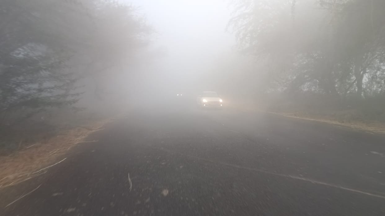 Traveling in fog is risky, white stripes missing from roads, fear of abandoned animals too