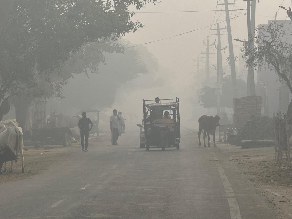 Travelling in fog is not safe