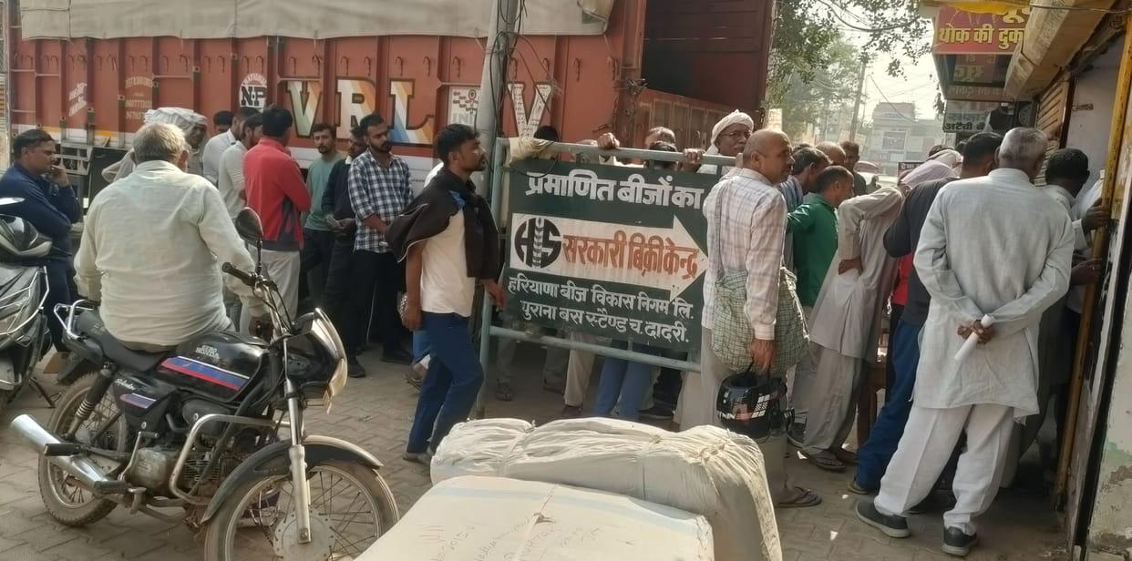 wheat seeds distributed