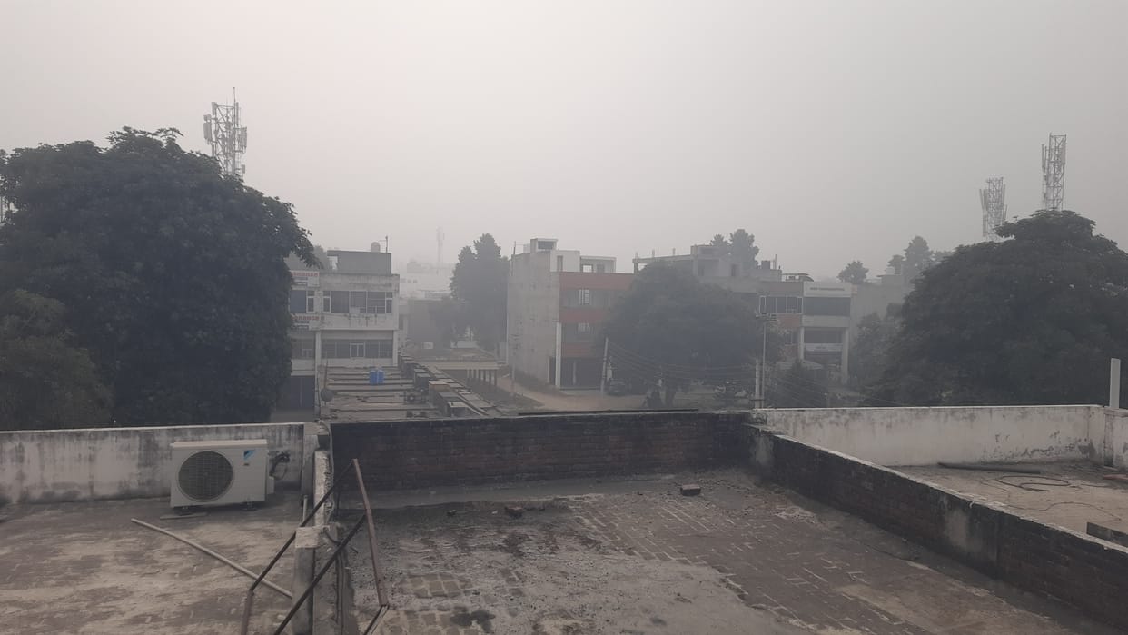 White blanket of fog spread across the district, mercury dropped
