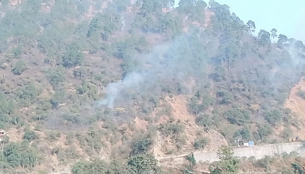 Bannu forest kept burning throughout the day, property worth lakhs reduced to ashes