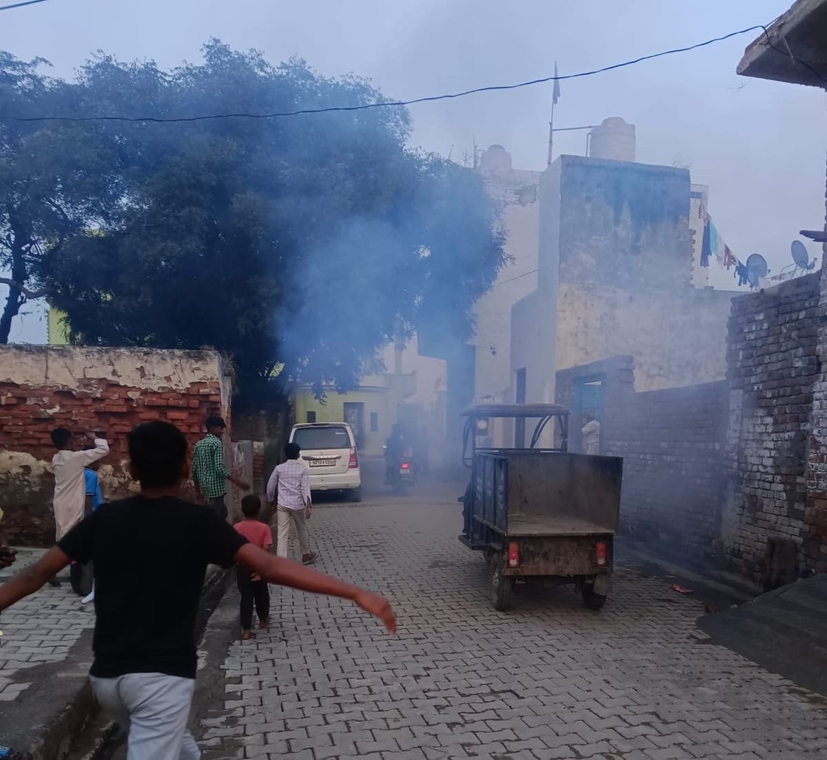 Dengue sting: 10 found dengue infected, figure reaches 394