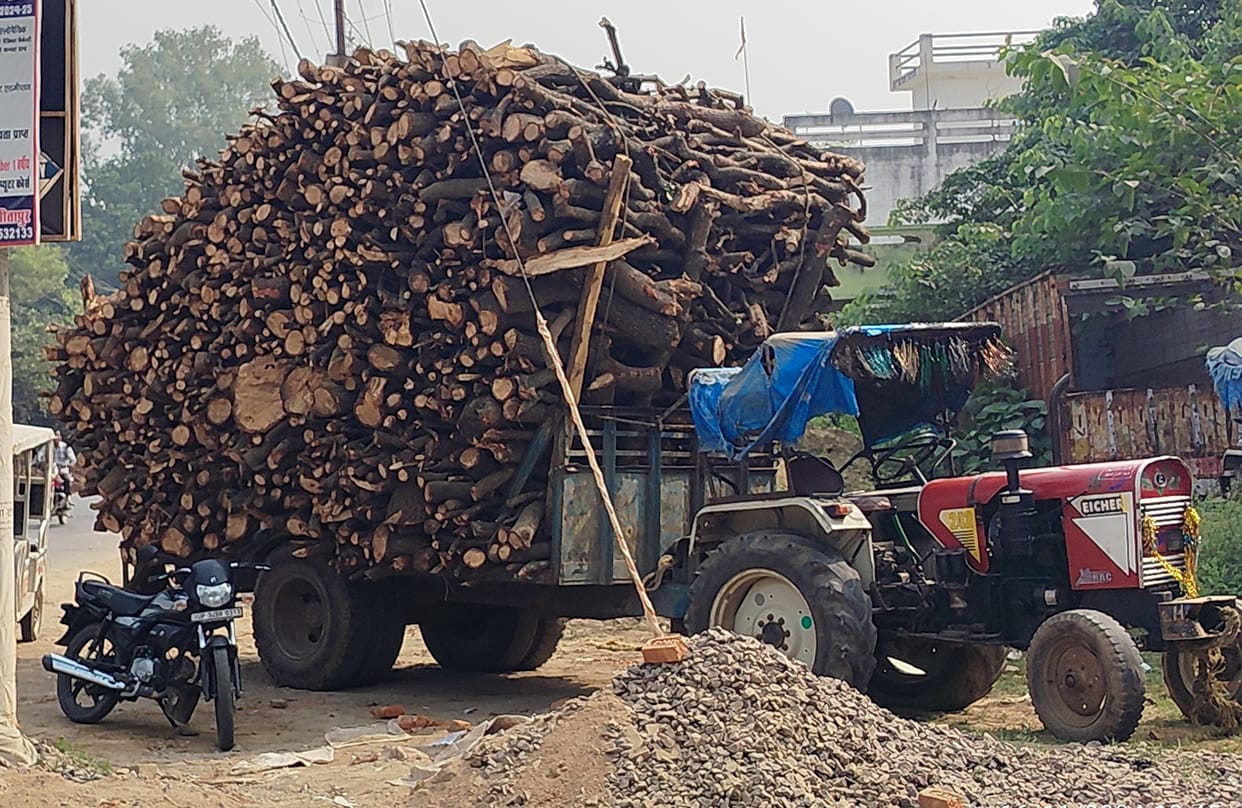 Police caught overloaded trolley laden with wood