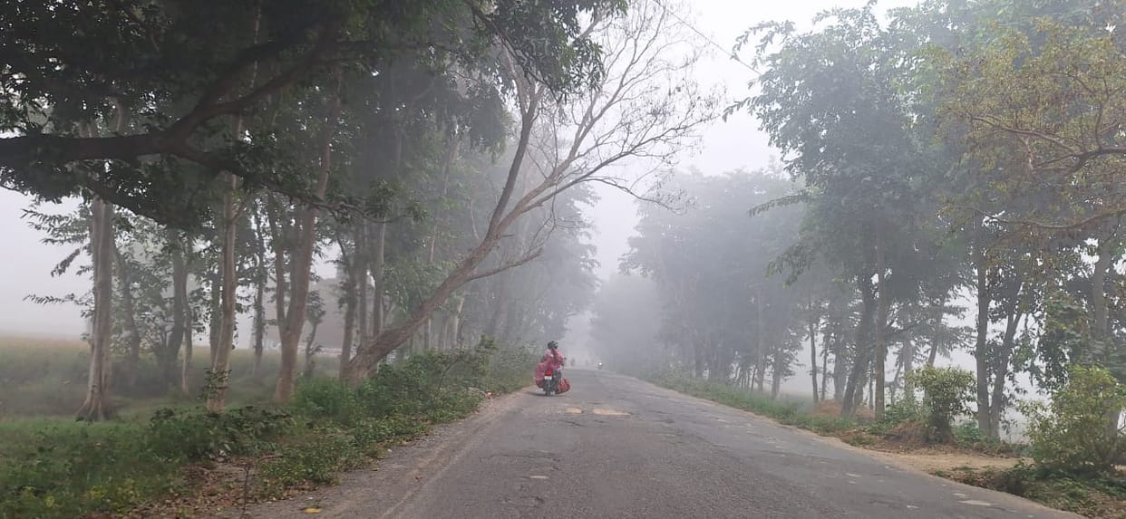 Fog prevails in the morning, minimum temperature drops