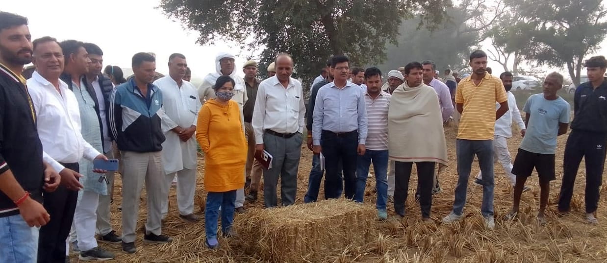 Explain the benefits of mixing paddy residue in the soil.